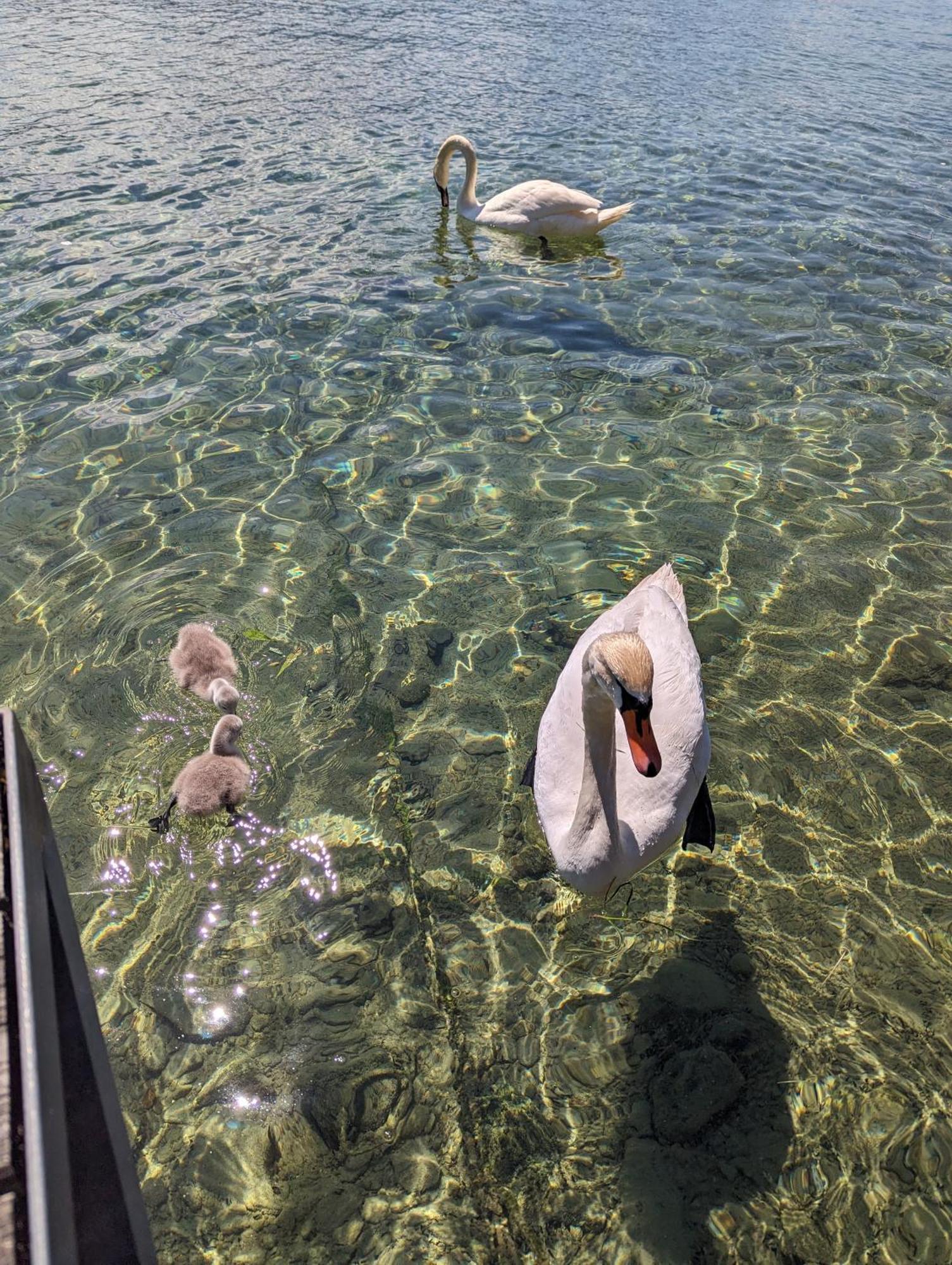 Seehaus Miglbauer Attersee Exteriér fotografie